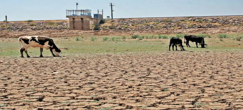 Jalisco Es El Estado Con Mayor Superficie Afectada Por La Sequ A