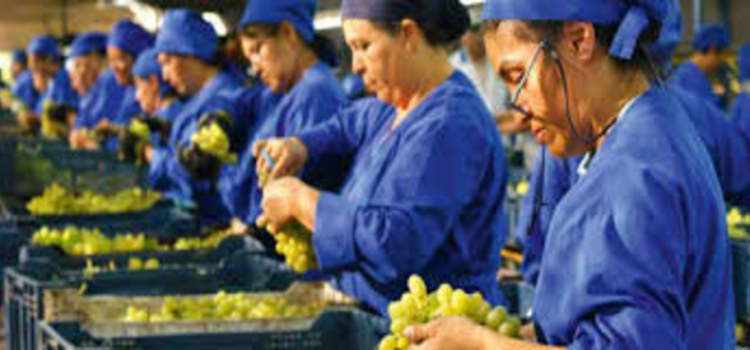 Jalisco mantiene liderato en producción de alimentos