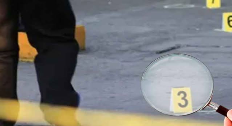 BC, Jalisco y Nuevo León registran 233 asesinatos en fin de semana