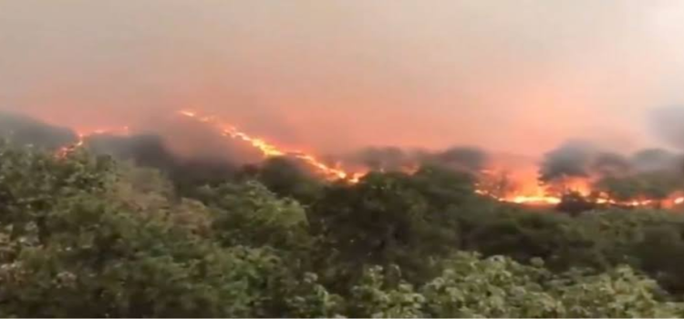 Por incendio en La Primavera, Jalisco se mantiene en alerta atmosférica