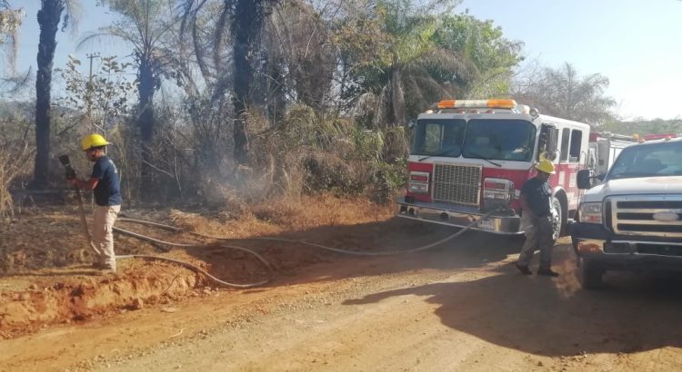 Continúan los incendios en Puerto Vallarta