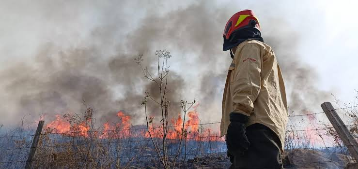 Hay al menos 8 incendios forestales activos en Jalisco