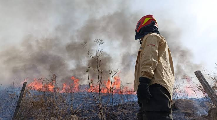 Hay al menos 8 incendios forestales activos en Jalisco