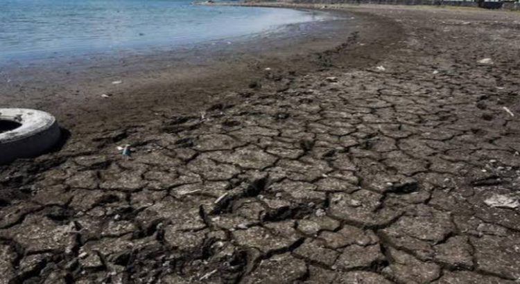 Se disparan municipios con sequía severa en Jalisco
