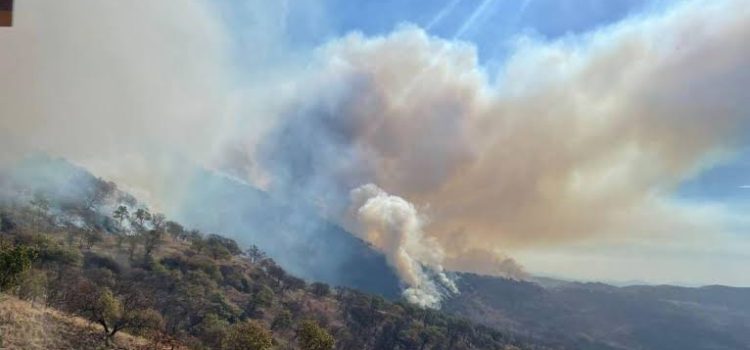 Puerto Vallarta han registrado 260 incendios forestales