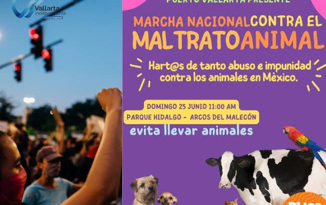 Convocan en Puerto Vallarta a marcha nacional contra el maltrato animal