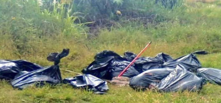 Localizan 25 bolsas con restos humanos en Jalisco