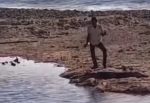 Hombre ebrio le baila a un cocodrilo en Puerto Vallarta