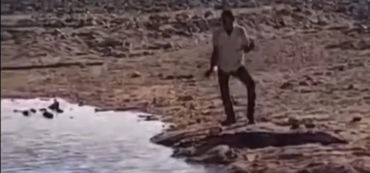 Hombre ebrio le baila a un cocodrilo en Puerto Vallarta