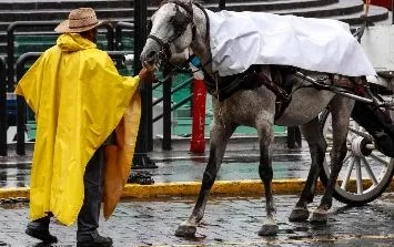 Alerta por lluvias intensas en Jalisco