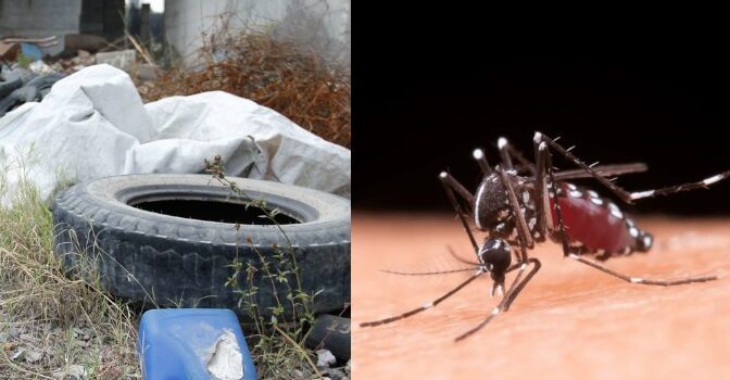 Alerta por brote de dengue en Jalisco: 11,238 casos y 120 muertes sospechosas