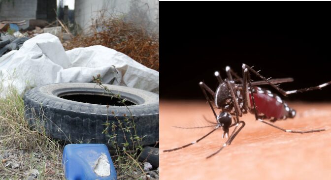 Alerta por brote de dengue en Jalisco: 11,238 casos y 120 muertes sospechosas