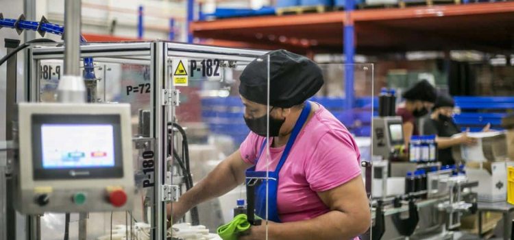 Jalisco perdió casi 800 empresas de enero a noviembre