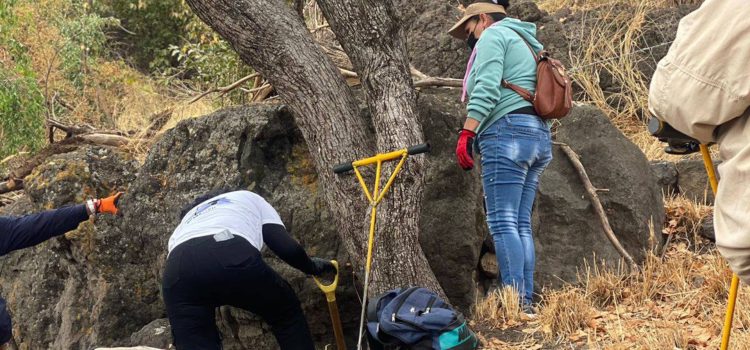Autoridades mexicanas recuperan 24 cadáveres de fosa clandestina en Jalisco