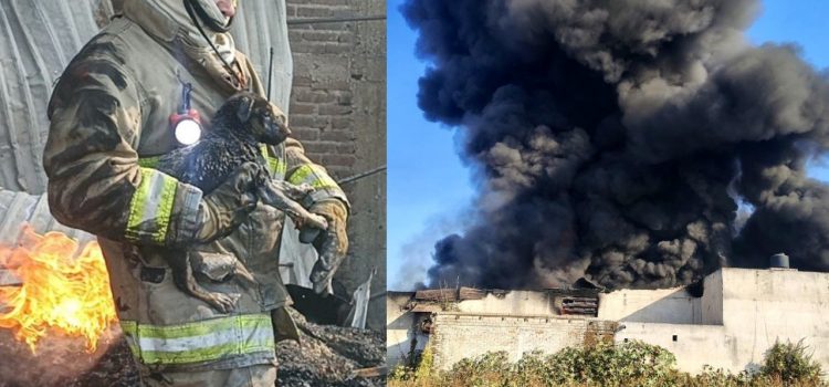 Se incendia fábrica de plásticos en Tonalá, Jalisco