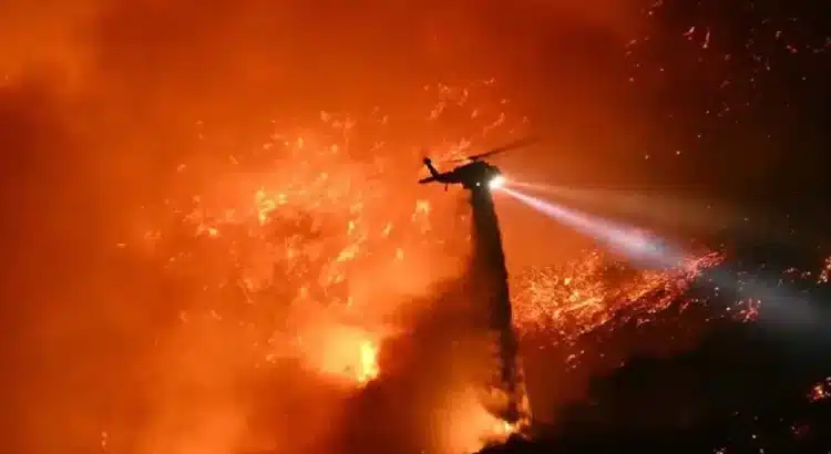 Crisis de seguros en California: cancelaciones masivas de pólizas tras incendios forestales