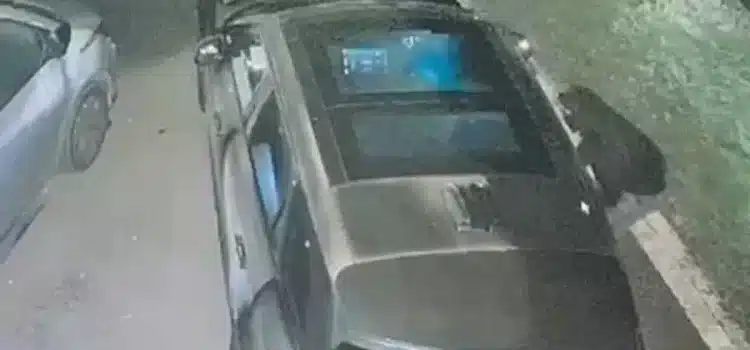 Se robaron un auto «imposible de robar»