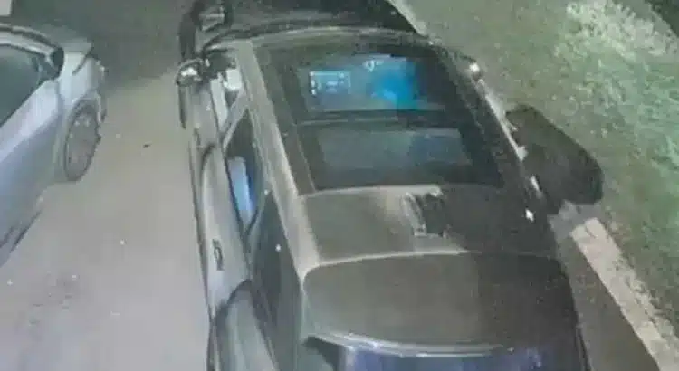 Se robaron un auto «imposible de robar»