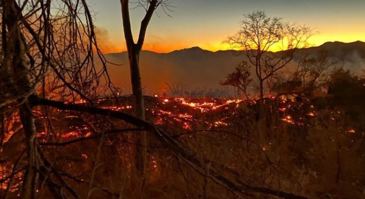 Emergencia Ambiental en la Costa de Jalisco