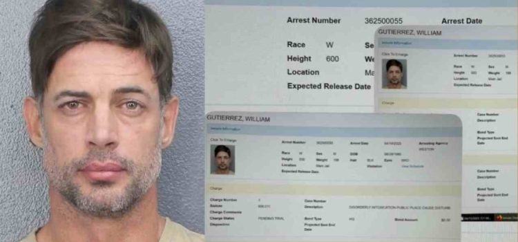 Detienen a William Levy en Estados Unidos