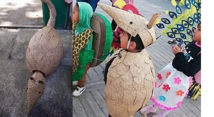 El “niño armadillo” la rompe en redes
