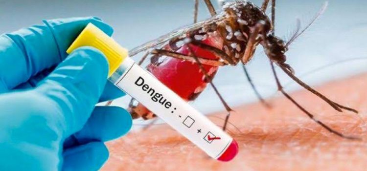Pronostican más de 17 mil 800 casos de dengue durante este año en Jalisco