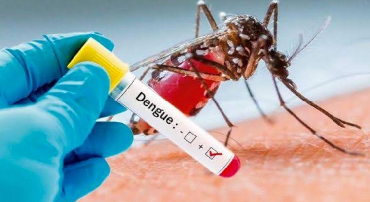 Pronostican más de 17 mil 800 casos de dengue durante este año en Jalisco