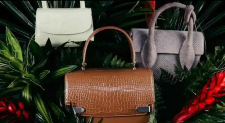 Tu próxima bolsa de lujo podría estar hecha de piel de … dinosaurio