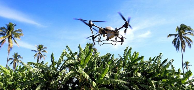 La empresa canadiense SAMI Agtech, muestra interés en establecer una planta en Jalisco