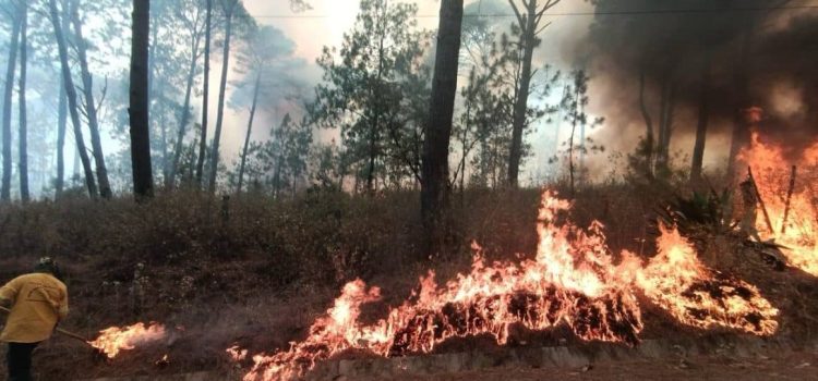 Jalisco suma más de mil 500 incendios en 2025 Jalisco suma más de mil 500 incendios en 2025