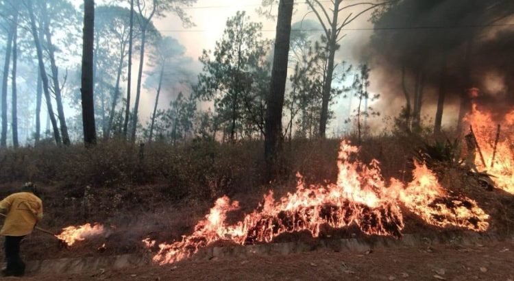 Jalisco suma más de mil 500 incendios en 2025