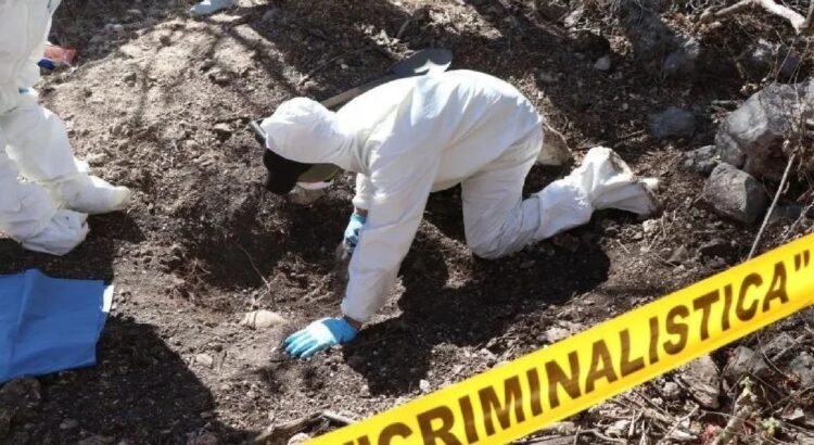 La fiscalía de Jalisco confirma 33 fosas clandestinas halladas en lo que va del año