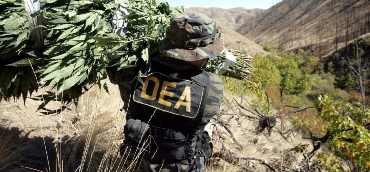 La DEA asegura que el Cartel Jalisco espió a sus agentes en Estados Unidos