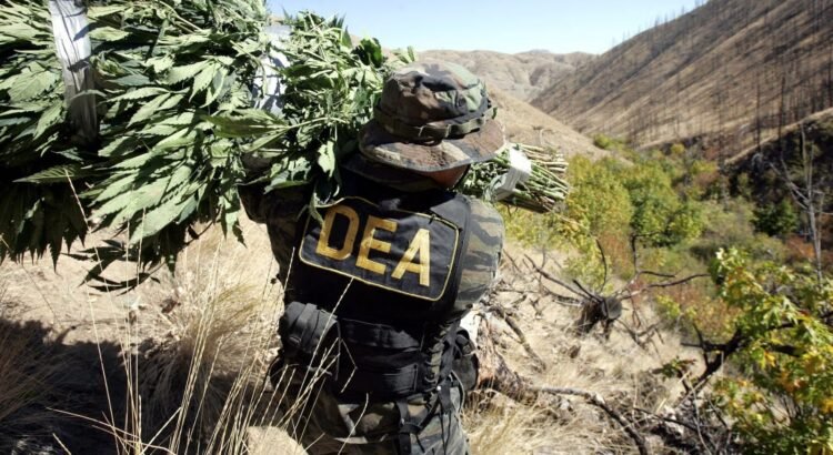 La DEA asegura que el Cartel Jalisco espió a sus agentes en Estados Unidos