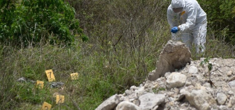 Buscan fosas clandestinas en Jalisco mediante análisis del crecimiento vegetal