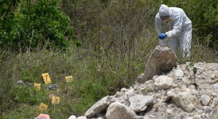Buscan fosas clandestinas en Jalisco mediante análisis del crecimiento vegetal
