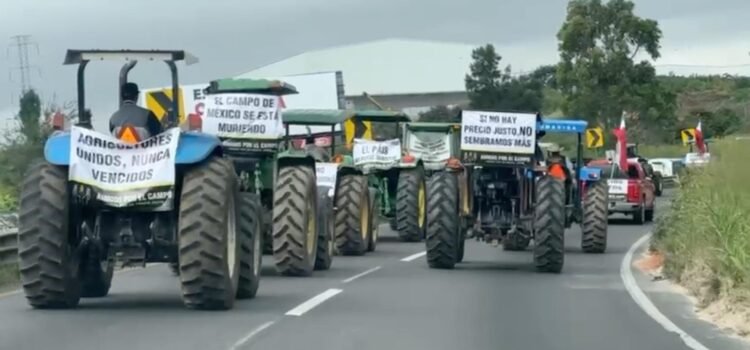 Agricultores bloquean carretera en Jalisco para exigir precio justo al maíz Agricultores bloquean carretera en Jalisco para exigir precio justo al maíz