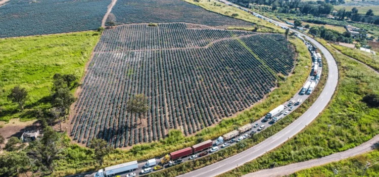 Productores de maíz levantan los 11 bloqueos que mantenían en carreteras de Jalisco Productores de maíz levantan los 11 bloqueos que mantenían en carreteras de Jalisco
