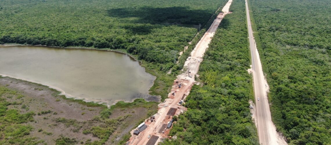 Reconoce Semarnat daño ambiental por el Tren Maya: ocho cavernas y cenotes afectados en el tramo 5