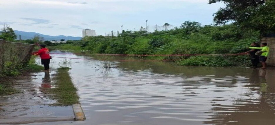 Cierran calle en Puerto Vallarta por presencia de un cocodrilo tras las lluvias